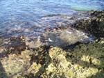 041125_punta5