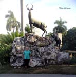 041125_zoo1