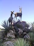 041125_zoo2